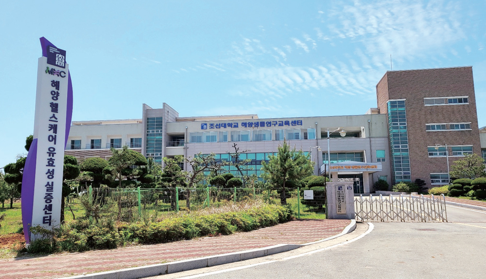 바다에서 대학과 지역의 희망 찾는다